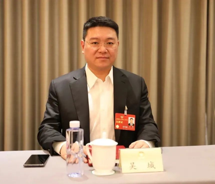 多能互补，，，，，，，，让能源加速绿色转型｜吴城委员对话央视财经